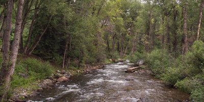 Fly Fishing on the Roaring Fork River