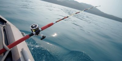 Fish Like a Pro: Fishing Gear Information for Beginners